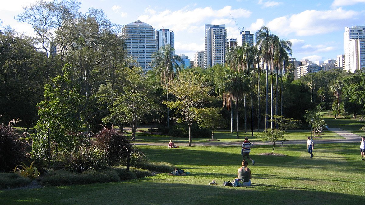 A peaceful stroll through Brisbane's City Botanic Gardens, showcasing lush greenery and serene walkways in the heart of the city.