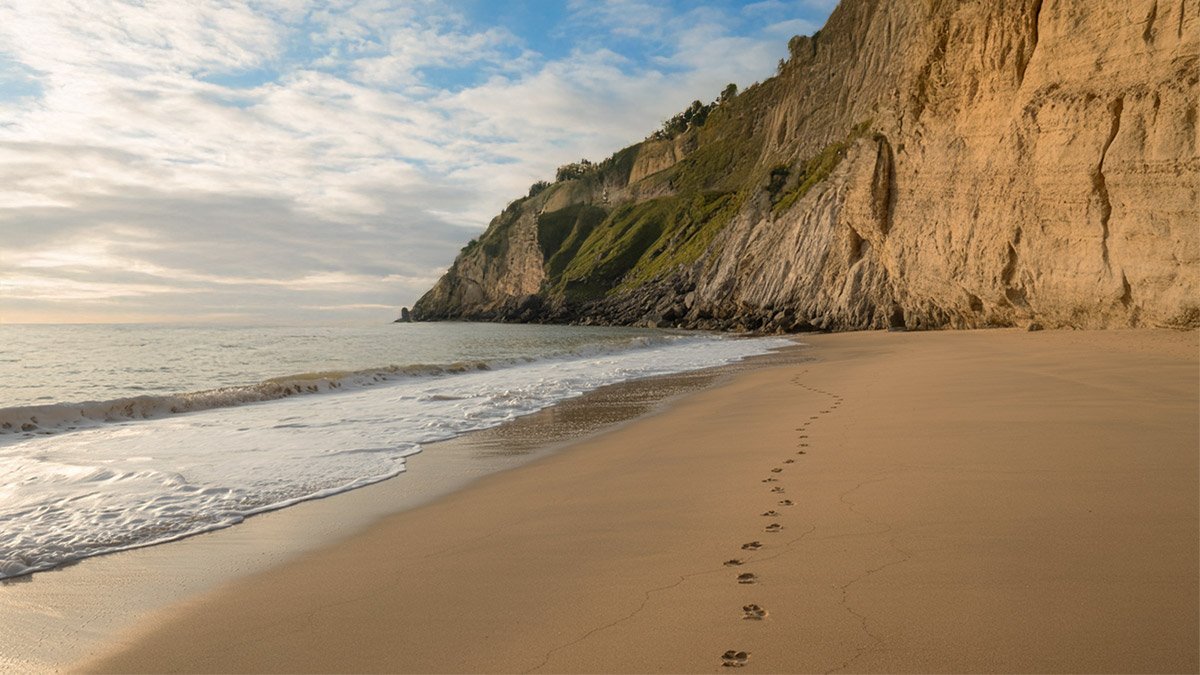 Castle Cove Beach and limestone cliffs along the Great Ocean Road, showcasing golden sand and rugged coastal scenery in Australia.