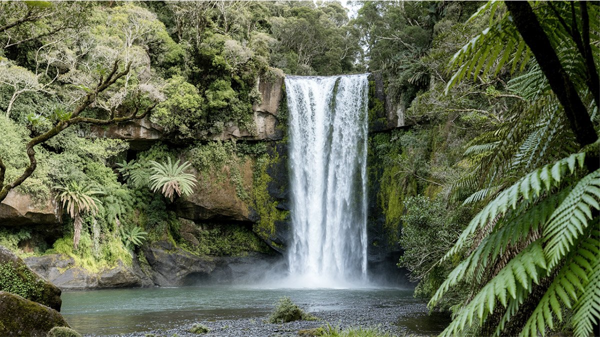 Hopetoun Falls in the Otway Ranges along the Great Ocean Road, surrounded by lush rainforest and cascading water.