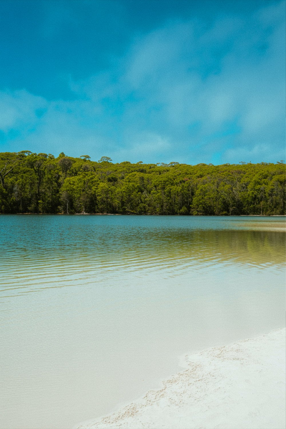 Lake McKenzie on Fraser Island with pure silica sand and crystal-clear water