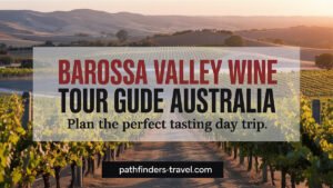 Barossa Valley wine tour vineyards at sunset in Australia, scenic view for Pathfinders Travel guide