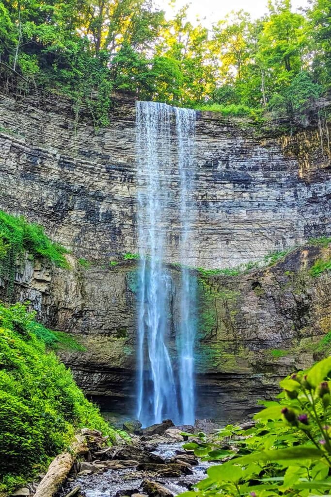 Hiking to Tews Falls Hamilton | Pathfinders Travel