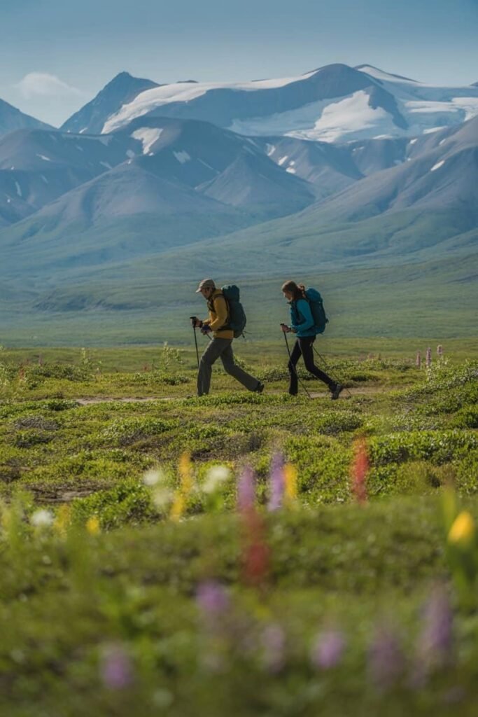 Hikers exploring Denali National Park backcountry tundra with distant Alaska Range mountains under summer sunlight