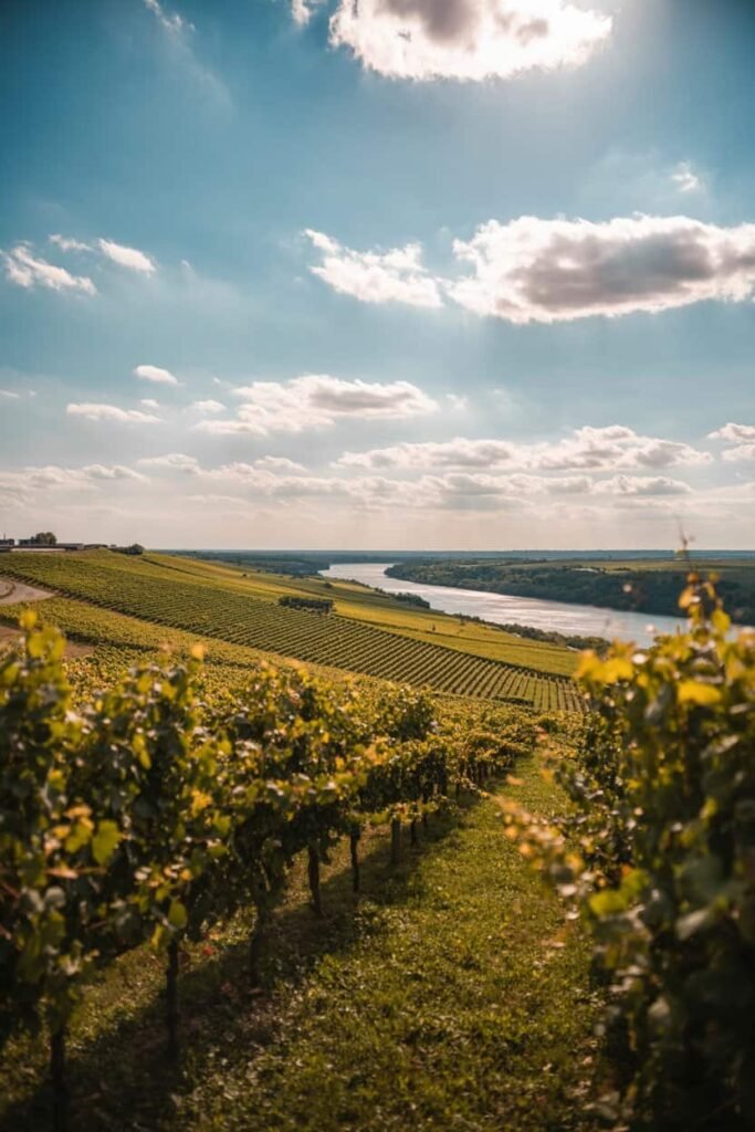 Scenic view of the Niagara Peninsula featuring vineyards, rolling hills, and river valleys that highlight Ontario’s natural beauty during a Toronto to Niagara day trip