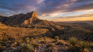 Guadalupe Peak towering over the Chihuahuan Desert at sunset in Guadalupe Mountains National Park Texas