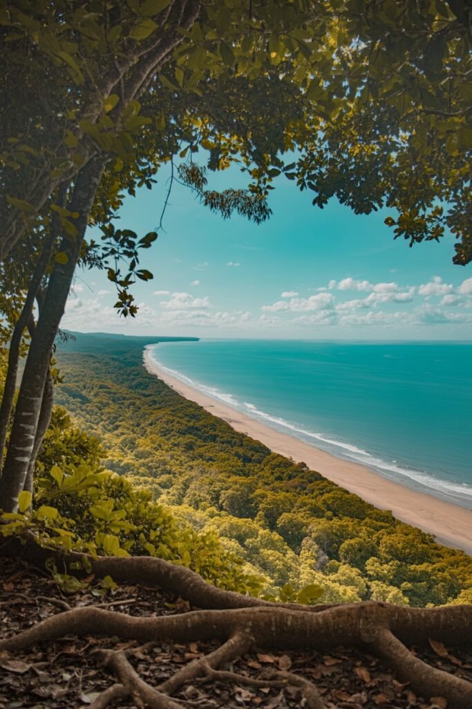 Cape Tribulation where the Daintree Rainforest meets the Great Barrier Reef in Queensland, Australia
