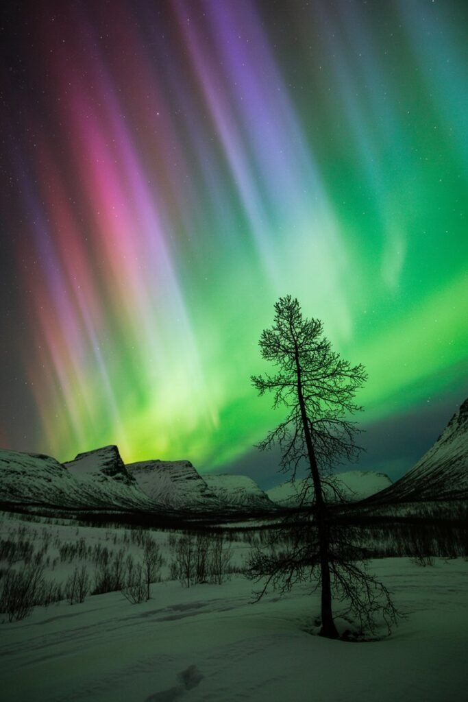 Witness the mesmerizing Northern Lights dance above Abisko National Park in Sweden, a prime aurora viewing destination.