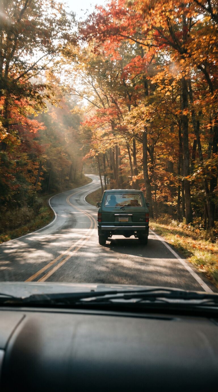 Scenic drive through Pennsylvania forest to Ohiopyle State Park