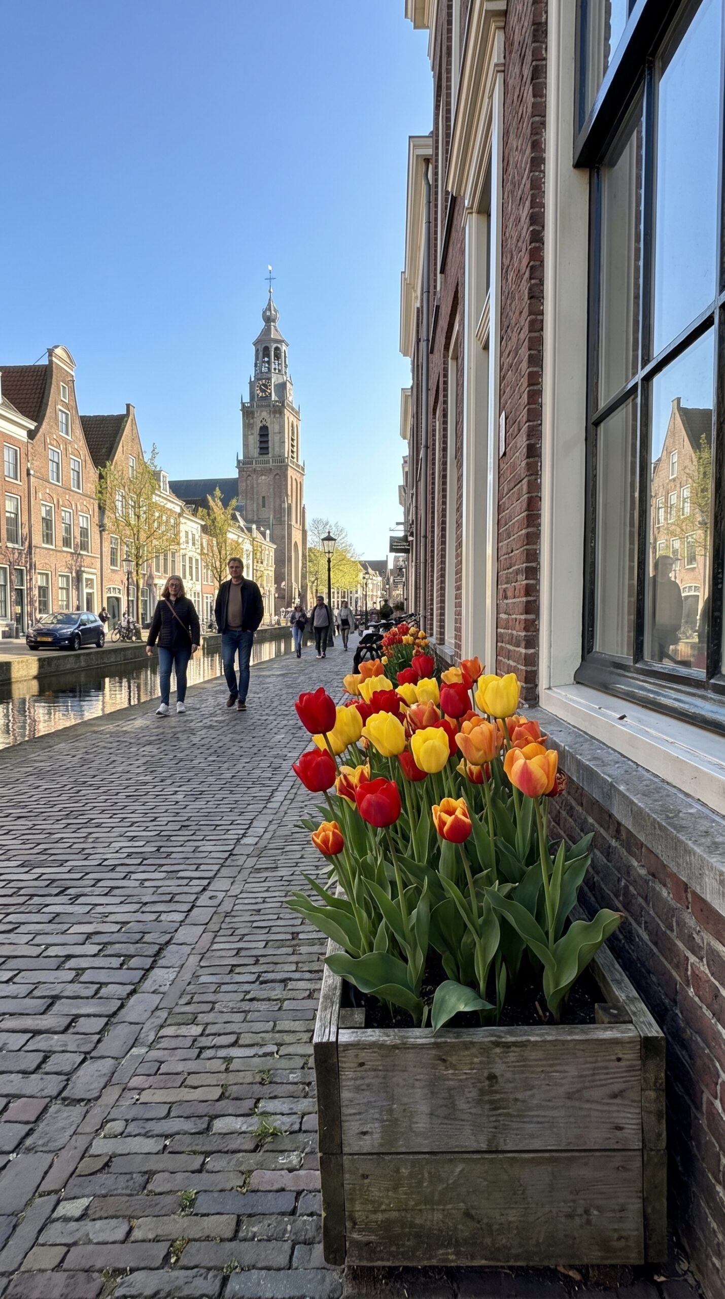 Delft Netherlands in spring with tulips, a canal, and the church tower under blue sky