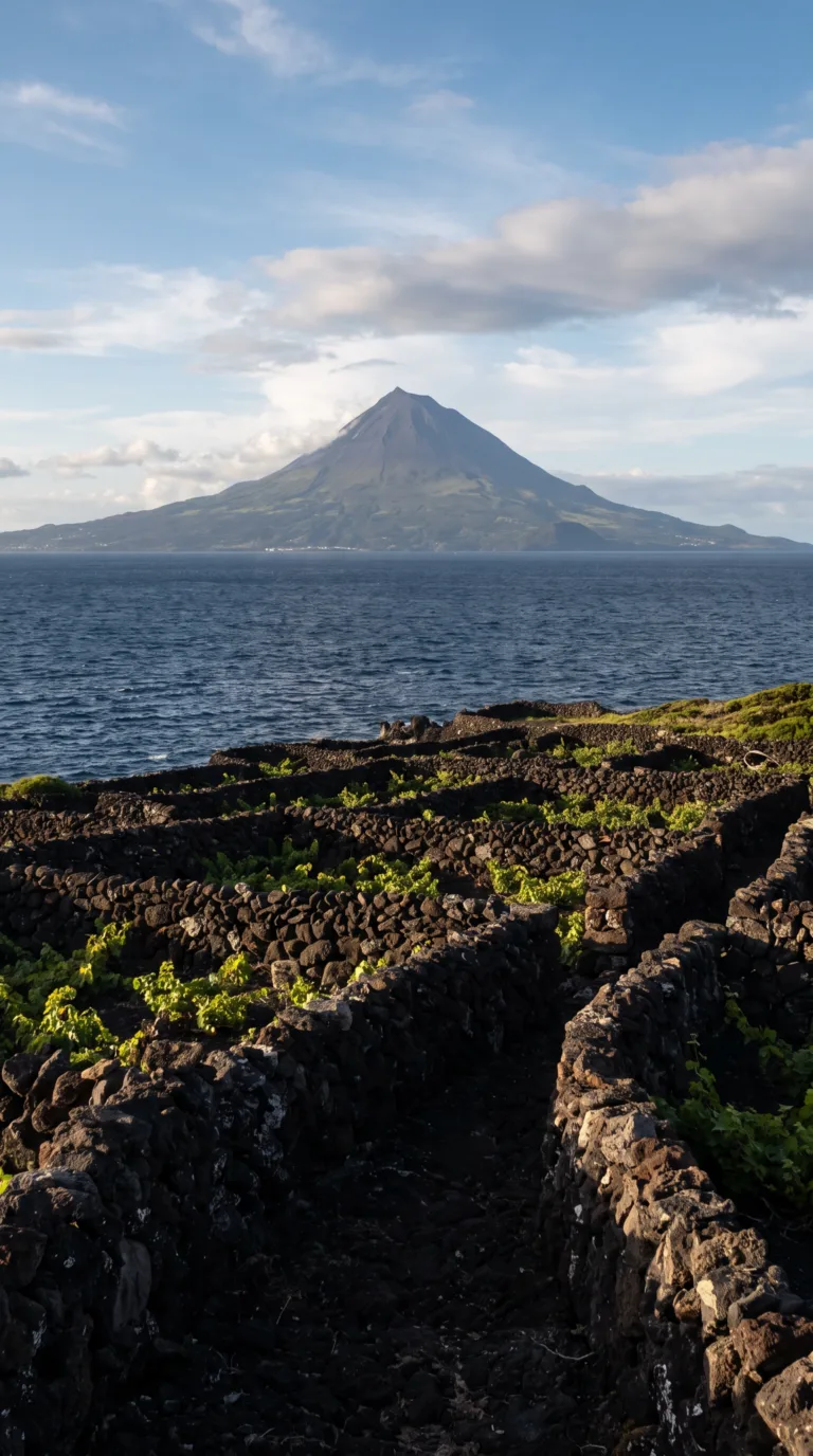 Mount Pico volcano rising from Atlantic Ocean with UNESCO vineyard walls Pico Island Azores