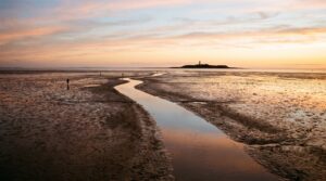 Low tide mudflats of the Dutch Wadden Sea stretching to a distant island under a golden sky
